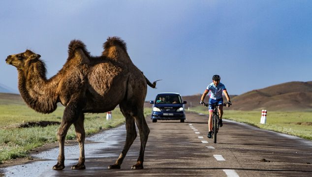 Guido Kunze trifft auf ein Kamel auf seiner Rekord-Fahrradfahrt durch die Mongolei.