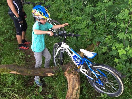 Der Fahrradkurs für Kinder trainiert im Wald